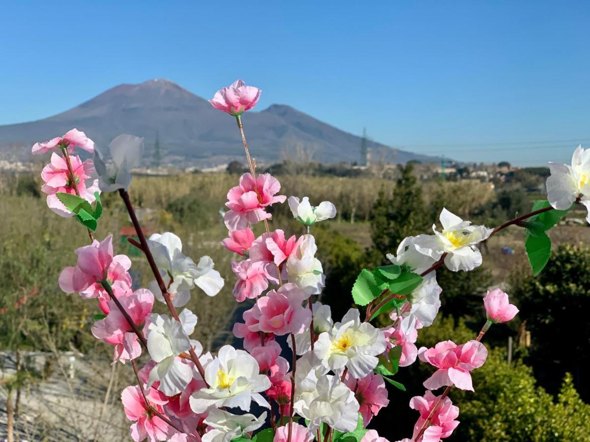 Villa Valentino Pompeji Екстериор снимка